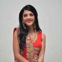 Mehreen at Krishna Gadi Veera Prema Gadha Audio Launch Stills | Picture 1210360