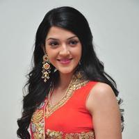 Mehreen at Krishna Gadi Veera Prema Gadha Audio Launch Stills | Picture 1210362