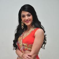 Mehreen at Krishna Gadi Veera Prema Gadha Audio Launch Stills | Picture 1210363