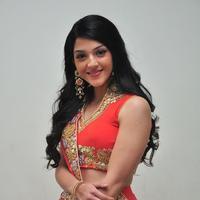 Mehreen at Krishna Gadi Veera Prema Gadha Audio Launch Stills | Picture 1210364