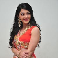 Mehreen at Krishna Gadi Veera Prema Gadha Audio Launch Stills | Picture 1210365