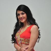 Mehreen at Krishna Gadi Veera Prema Gadha Audio Launch Stills | Picture 1210367