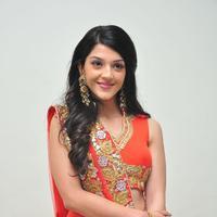 Mehreen at Krishna Gadi Veera Prema Gadha Audio Launch Stills | Picture 1210368