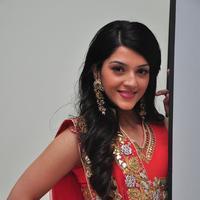 Mehreen at Krishna Gadi Veera Prema Gadha Audio Launch Stills | Picture 1210370