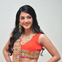 Mehreen at Krishna Gadi Veera Prema Gadha Audio Launch Stills | Picture 1210371