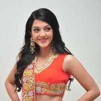 Mehreen at Krishna Gadi Veera Prema Gadha Audio Launch Stills | Picture 1210372