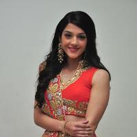 Mehreen at Krishna Gadi Veera Prema Gadha Audio Launch Stills | Picture 1210373