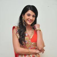 Mehreen at Krishna Gadi Veera Prema Gadha Audio Launch Stills | Picture 1210376