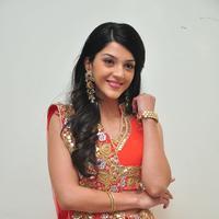 Mehreen at Krishna Gadi Veera Prema Gadha Audio Launch Stills | Picture 1210377