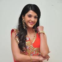 Mehreen at Krishna Gadi Veera Prema Gadha Audio Launch Stills | Picture 1210379