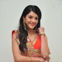 Mehreen at Krishna Gadi Veera Prema Gadha Audio Launch Stills | Picture 1210380