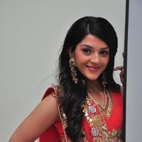 Mehreen at Krishna Gadi Veera Prema Gadha Audio Launch Stills | Picture 1210381