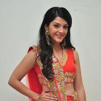 Mehreen at Krishna Gadi Veera Prema Gadha Audio Launch Stills | Picture 1210382