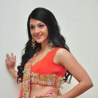 Mehreen at Krishna Gadi Veera Prema Gadha Audio Launch Stills | Picture 1210385