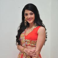 Mehreen at Krishna Gadi Veera Prema Gadha Audio Launch Stills | Picture 1210386