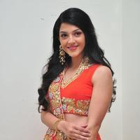 Mehreen at Krishna Gadi Veera Prema Gadha Audio Launch Stills | Picture 1210387