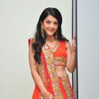 Mehreen at Krishna Gadi Veera Prema Gadha Audio Launch Stills | Picture 1210389