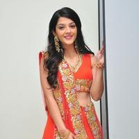 Mehreen at Krishna Gadi Veera Prema Gadha Audio Launch Stills | Picture 1210390