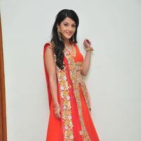 Mehreen at Krishna Gadi Veera Prema Gadha Audio Launch Stills | Picture 1210393