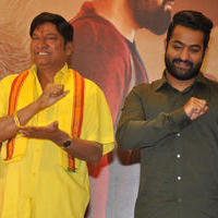 Nannaku Prematho Movie Success Meet Stills | Picture 1211135