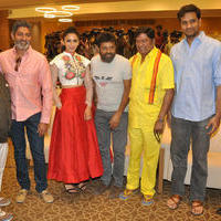 Nannaku Prematho Movie Success Meet Stills | Picture 1211242
