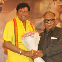 Nannaku Prematho Movie Success Meet Stills | Picture 1211277