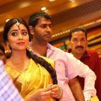 Shriya Launches VRK Silks Showroom Stills | Picture 1214547