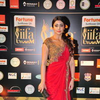 Shriya Saran at IIFA Utsavam Awards 2016 Stills | Picture 1215059