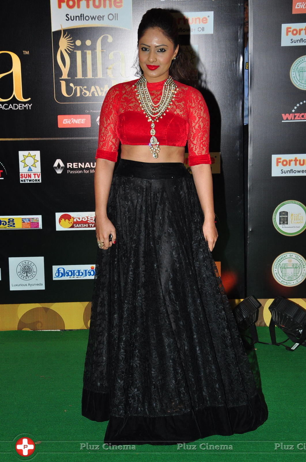 Nikisha Patel at IIFA Utsavam Awards 2016 Day 2 Photos | Picture 1216120