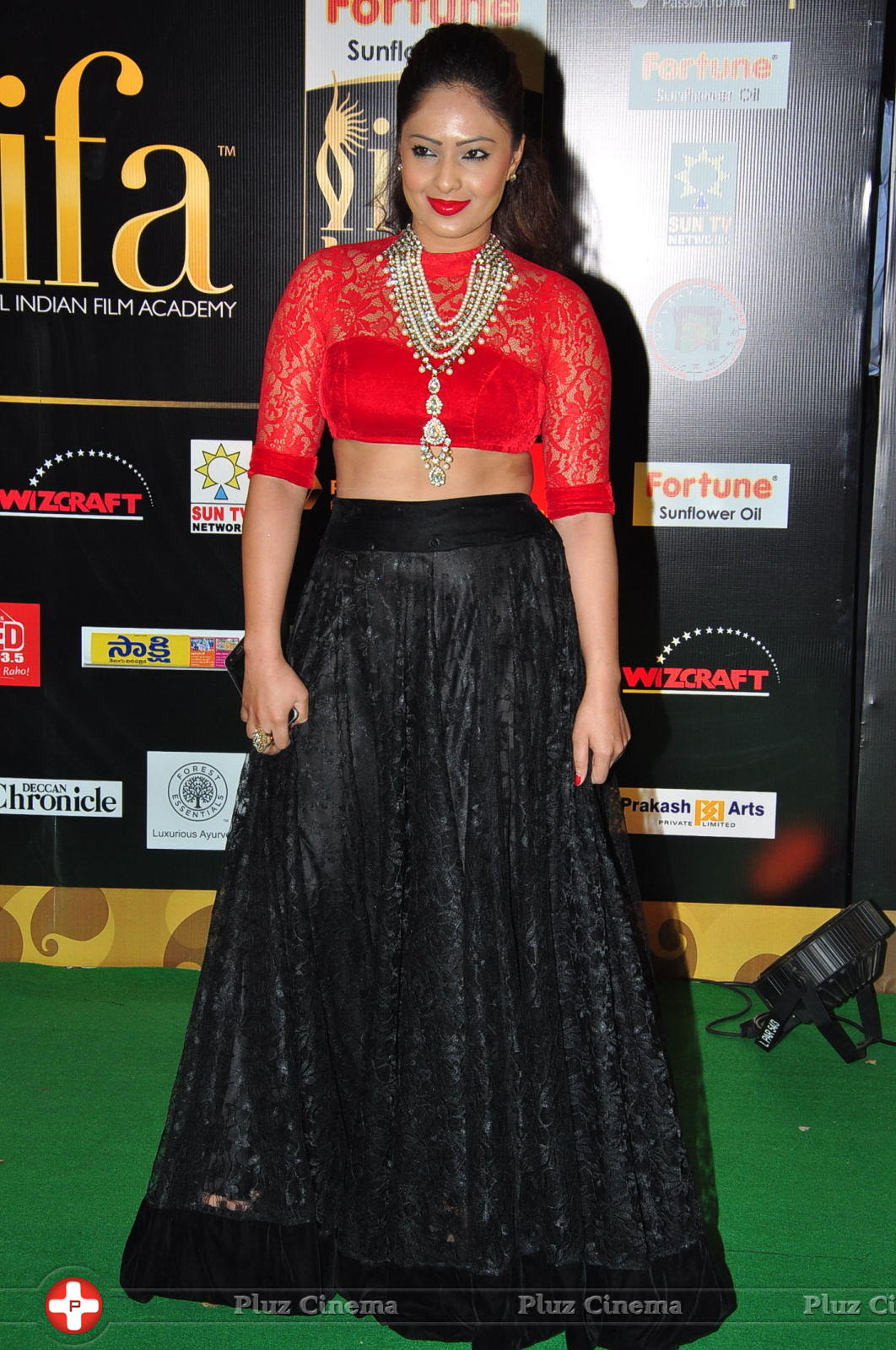 Nikisha Patel at IIFA Utsavam Awards 2016 Day 2 Photos | Picture 1216135