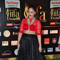 Nikisha Patel at IIFA Utsavam Awards 2016 Day 2 Photos | Picture 1216152