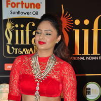 Nikisha Patel at IIFA Utsavam Awards 2016 Day 2 Photos | Picture 1216155