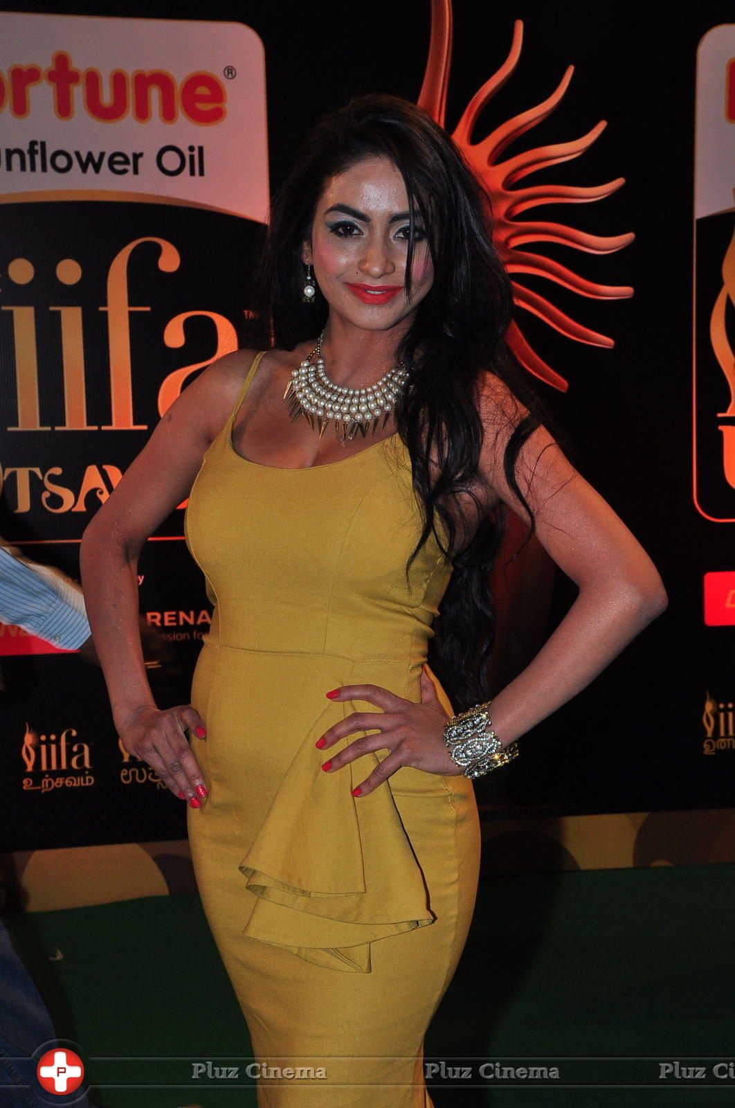 Pooja Sri at IIFA Utsavam Awards 2016 Day 2 Photos | Picture 1216248