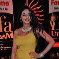 Pooja Sri at IIFA Utsavam Awards 2016 Day 2 Photos | Picture 1216245