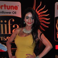 Pooja Sri at IIFA Utsavam Awards 2016 Day 2 Photos | Picture 1216248