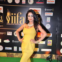 Pooja Sri at IIFA Utsavam Awards 2016 Day 2 Photos | Picture 1216264