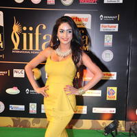 Pooja Sri at IIFA Utsavam Awards 2016 Day 2 Photos | Picture 1216265