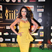 Pooja Sri at IIFA Utsavam Awards 2016 Day 2 Photos | Picture 1216267