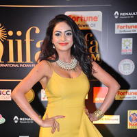 Pooja Sri at IIFA Utsavam Awards 2016 Day 2 Photos | Picture 1216268