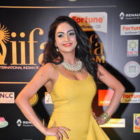 Pooja Sri at IIFA Utsavam Awards 2016 Day 2 Photos | Picture 1216269