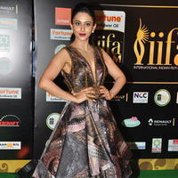 Rakul Preet Singh at IIFA Utsavam Awards 2016 Day 2 Photos | Picture 1216207