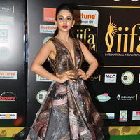 Rakul Preet Singh at IIFA Utsavam Awards 2016 Day 2 Photos | Picture 1216209