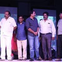 Seethamma Andalu Ramayya Sitralu Movie Platinum Disc Function Stills | Picture 1218479
