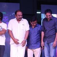 Seethamma Andalu Ramayya Sitralu Movie Platinum Disc Function Stills | Picture 1218492