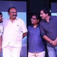 Seethamma Andalu Ramayya Sitralu Movie Platinum Disc Function Stills | Picture 1218922