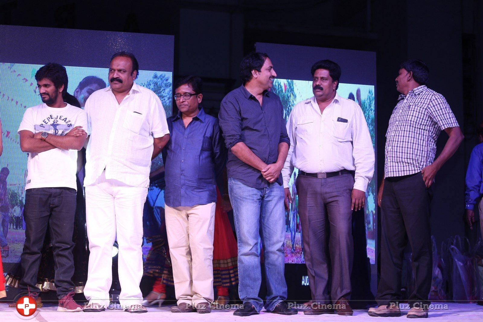 Seethamma Andalu Ramayya Sitralu Movie Platinum Disc Function Stills | Picture 1218928