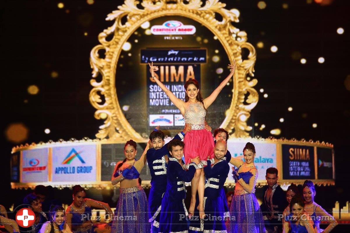 SIIMA 2016 Awards Photos | Picture 1347136