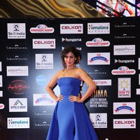 Sonal Chauhan - SIIMA 2016 Awards Function Photos