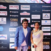 SIIMA 2016 Awards Function Photos | Picture 1347189