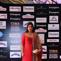 SIIMA 2016 Awards Function Photos | Picture 1347190